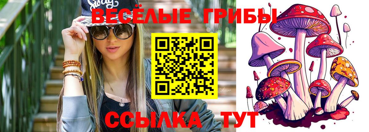 Псилоцибиновые грибы прущие грибы Кумертау