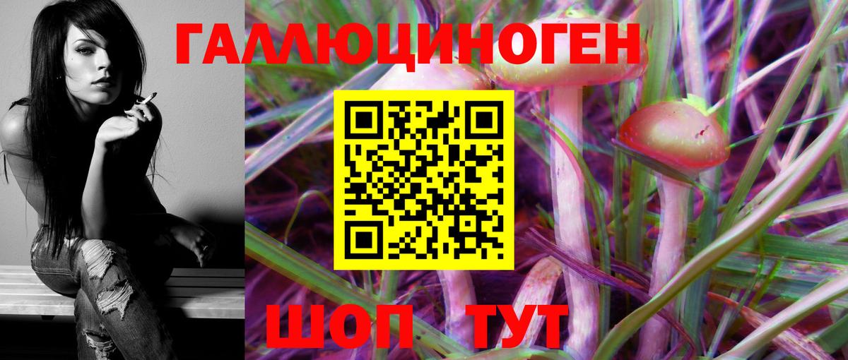 хочу наркоту  Галлюциногенные грибы Psilocybe  Вход с VPN  Кумертау 